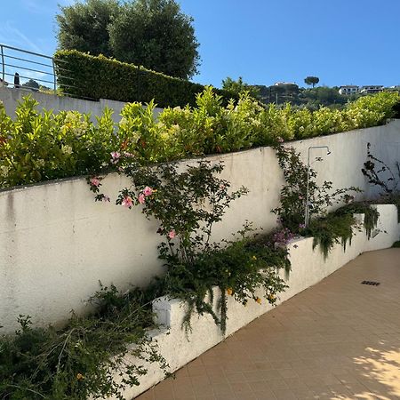 Villa Dei Fiori زامبروني المظهر الخارجي الصورة