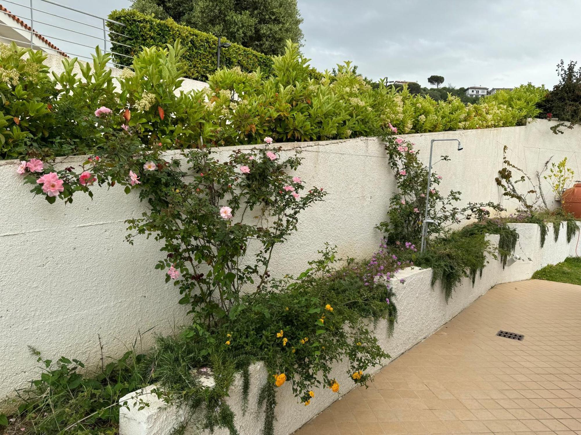 Villa Dei Fiori زامبروني المظهر الخارجي الصورة